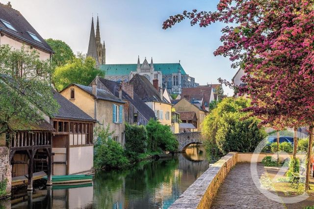 Appartement F2 &agrave; louer - 2 pi&egrave;ces - 41,92 m2 - Chartres - 28 - CENTRE